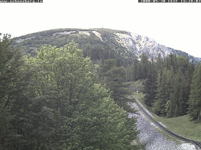 Archiv Foto Webcam Station Baumgartner Puchberg am Schneeberg