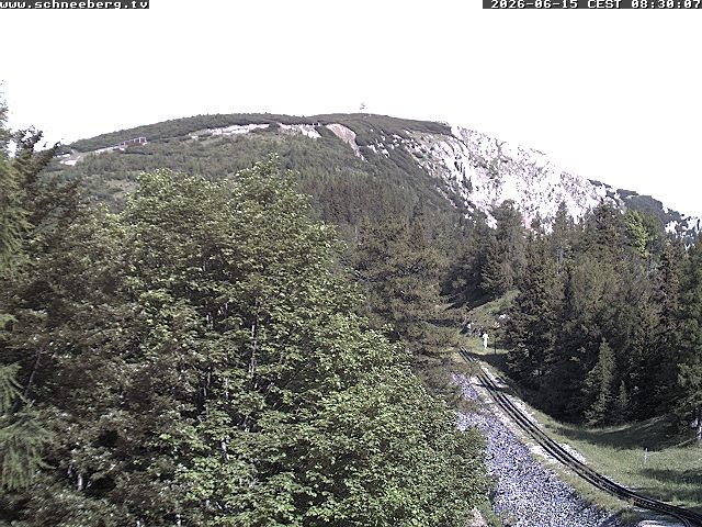 Archiv Foto Webcam Station Baumgartner Puchberg am Schneeberg