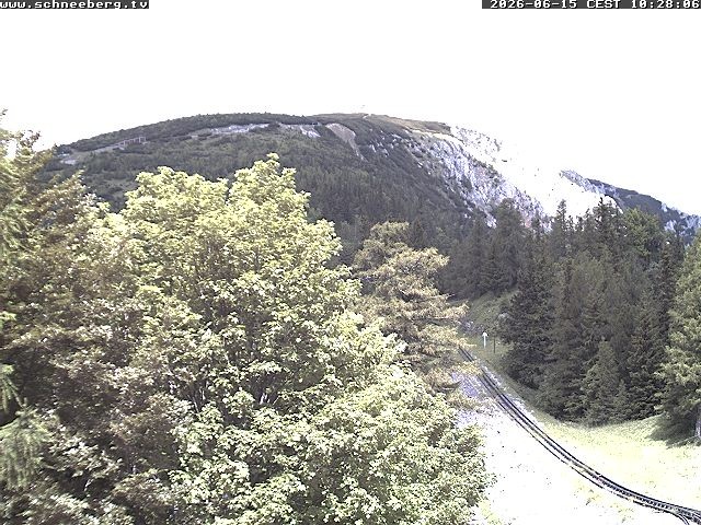 Archiv Foto Webcam Station Baumgartner Puchberg am Schneeberg
