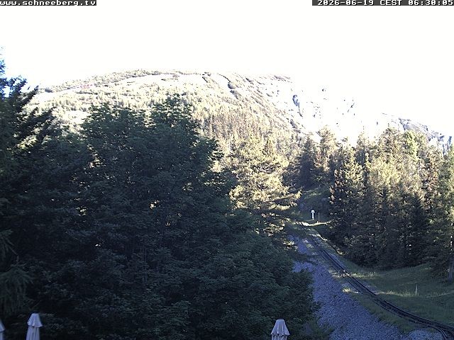 Archived image Webcam Baumgartner Station Puchberg am Schneeberg