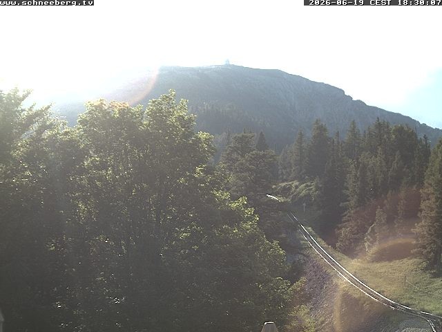 Archiv Foto Webcam Station Baumgartner Puchberg am Schneeberg