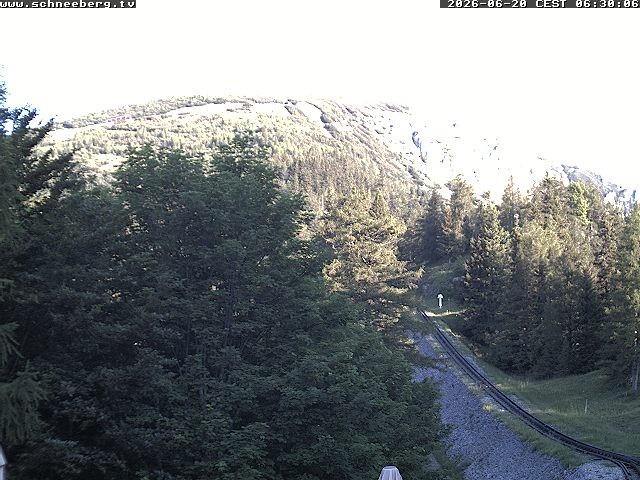 Archiv Foto Webcam Station Baumgartner Puchberg am Schneeberg