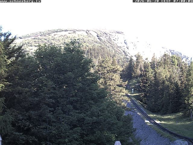 Archiv Foto Webcam Station Baumgartner Puchberg am Schneeberg
