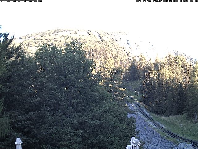 Archiv Foto Webcam Station Baumgartner Puchberg am Schneeberg
