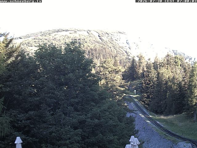 Archiv Foto Webcam Station Baumgartner Puchberg am Schneeberg