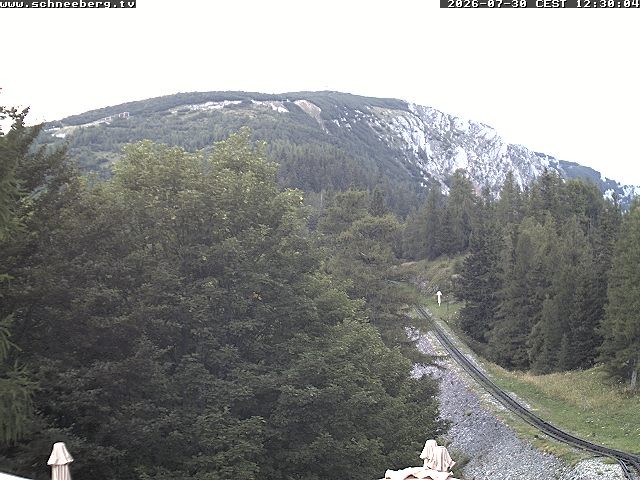 Archiv Foto Webcam Station Baumgartner Puchberg am Schneeberg