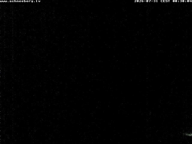 Archiv Foto Webcam Station Baumgartner Puchberg am Schneeberg
