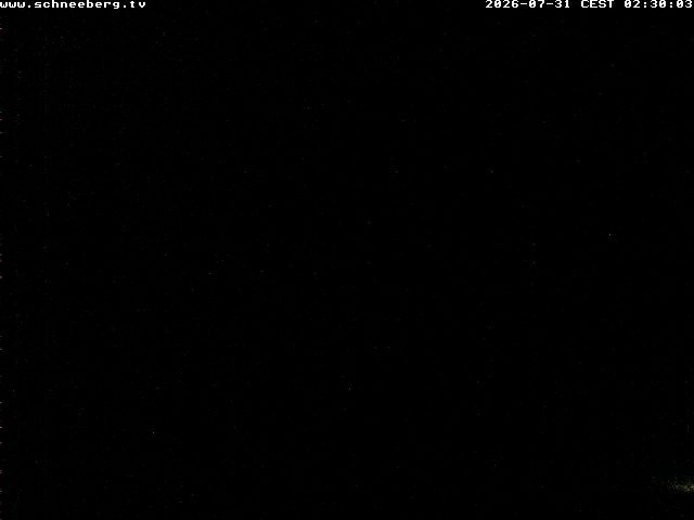 Archiv Foto Webcam Station Baumgartner Puchberg am Schneeberg