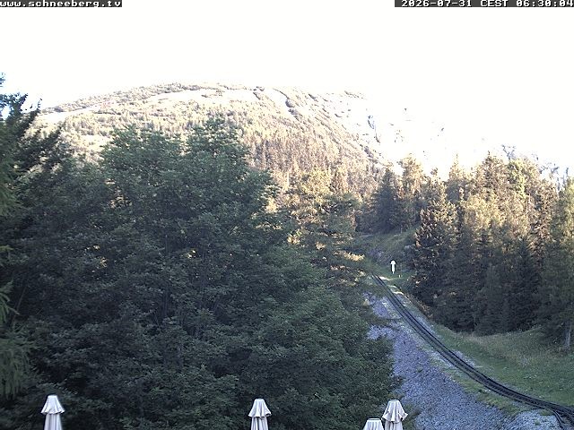 Archiv Foto Webcam Station Baumgartner Puchberg am Schneeberg