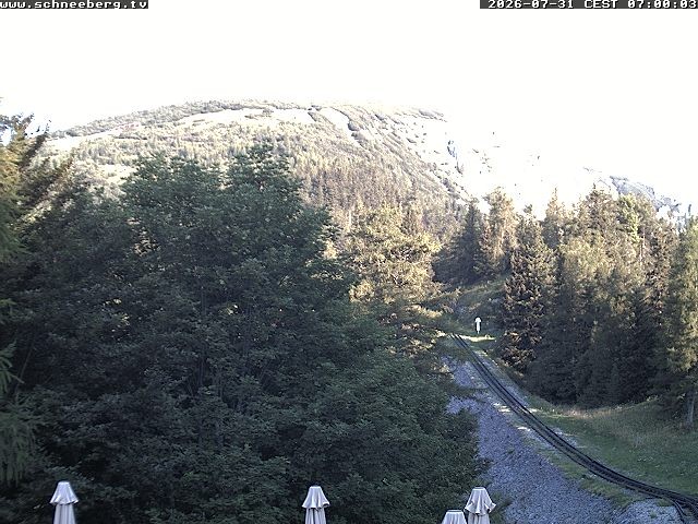 Archiv Foto Webcam Station Baumgartner Puchberg am Schneeberg