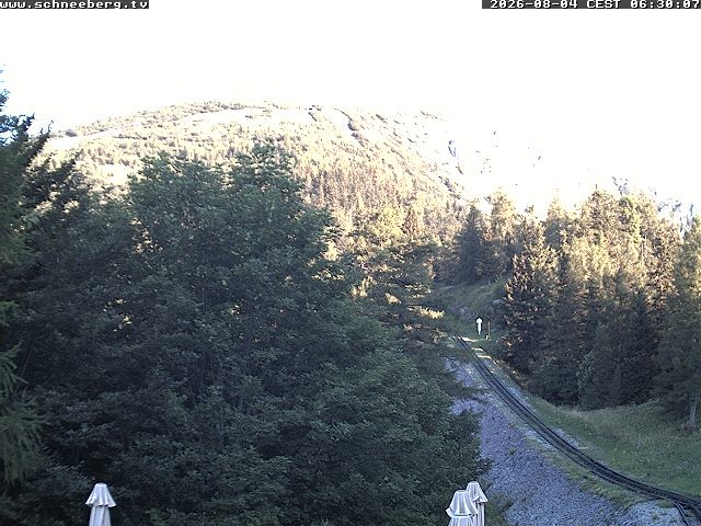 Archiv Foto Webcam Station Baumgartner Puchberg am Schneeberg