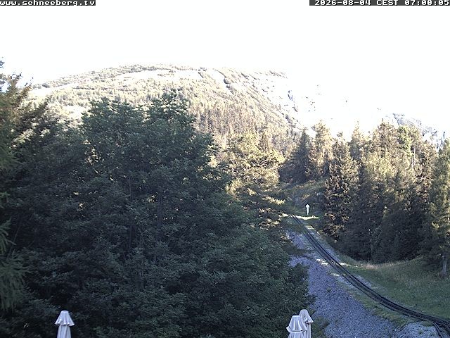 Archiv Foto Webcam Station Baumgartner Puchberg am Schneeberg