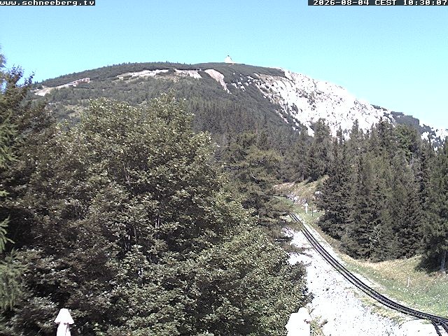 Archiv Foto Webcam Station Baumgartner Puchberg am Schneeberg