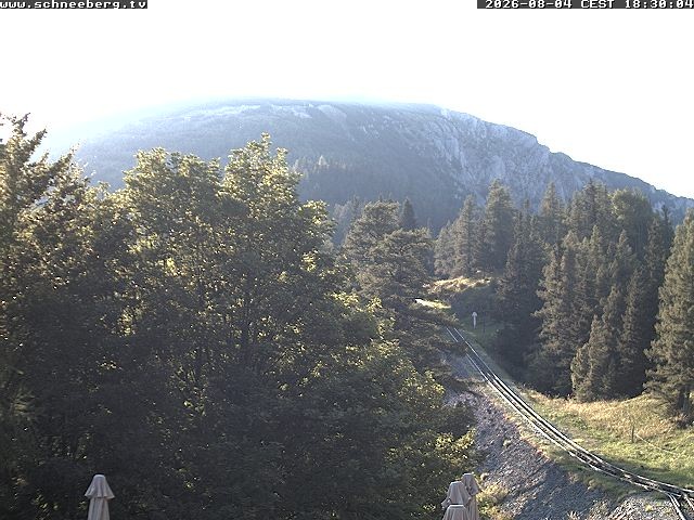 Archiv Foto Webcam Station Baumgartner Puchberg am Schneeberg