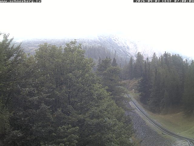 Archiv Foto Webcam Station Baumgartner Puchberg am Schneeberg