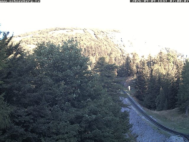 Archiv Foto Webcam Station Baumgartner Puchberg am Schneeberg
