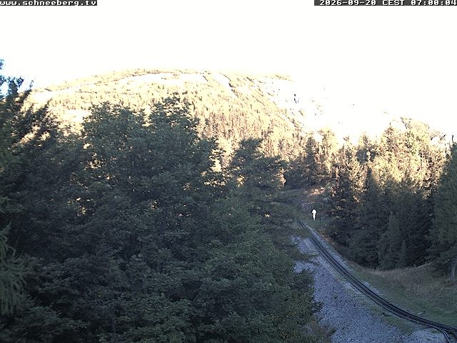 Archiv Foto Webcam Station Baumgartner Puchberg am Schneeberg