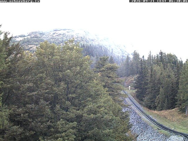 Archiv Foto Webcam Station Baumgartner Puchberg am Schneeberg