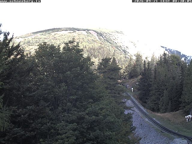 Archiv Foto Webcam Station Baumgartner Puchberg am Schneeberg