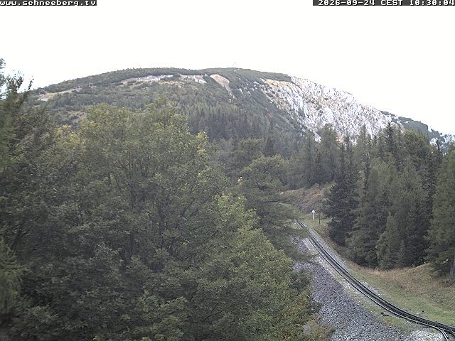 Archiv Foto Webcam Station Baumgartner Puchberg am Schneeberg