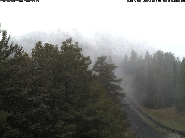 Archiv Foto Webcam Station Baumgartner Puchberg am Schneeberg