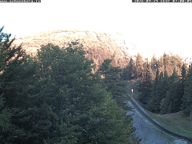 Archiv Foto Webcam Station Baumgartner Puchberg am Schneeberg