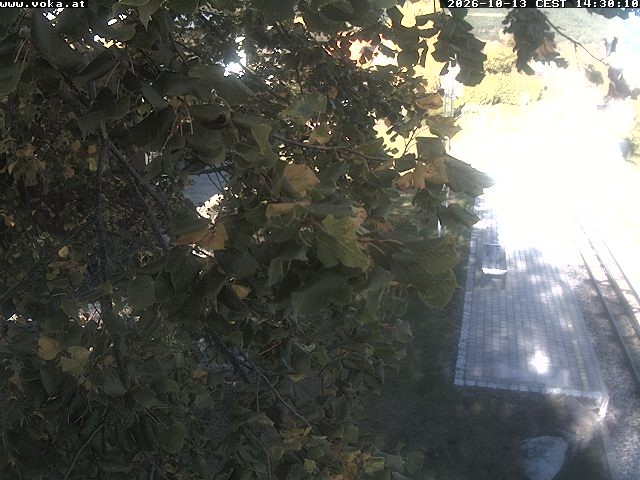 Archiv Foto Webcam Puchberg am Schneeberg - Galerie Voka