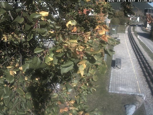 Archiv Foto Webcam Puchberg am Schneeberg - Galerie Voka