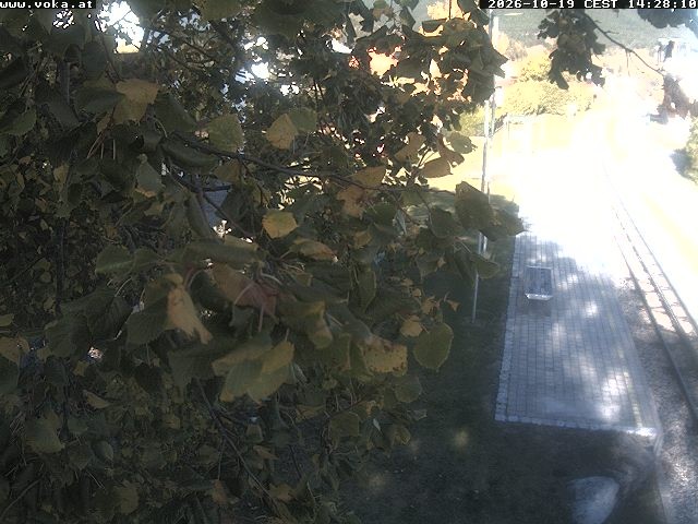 Archiv Foto Webcam Puchberg am Schneeberg - Galerie Voka