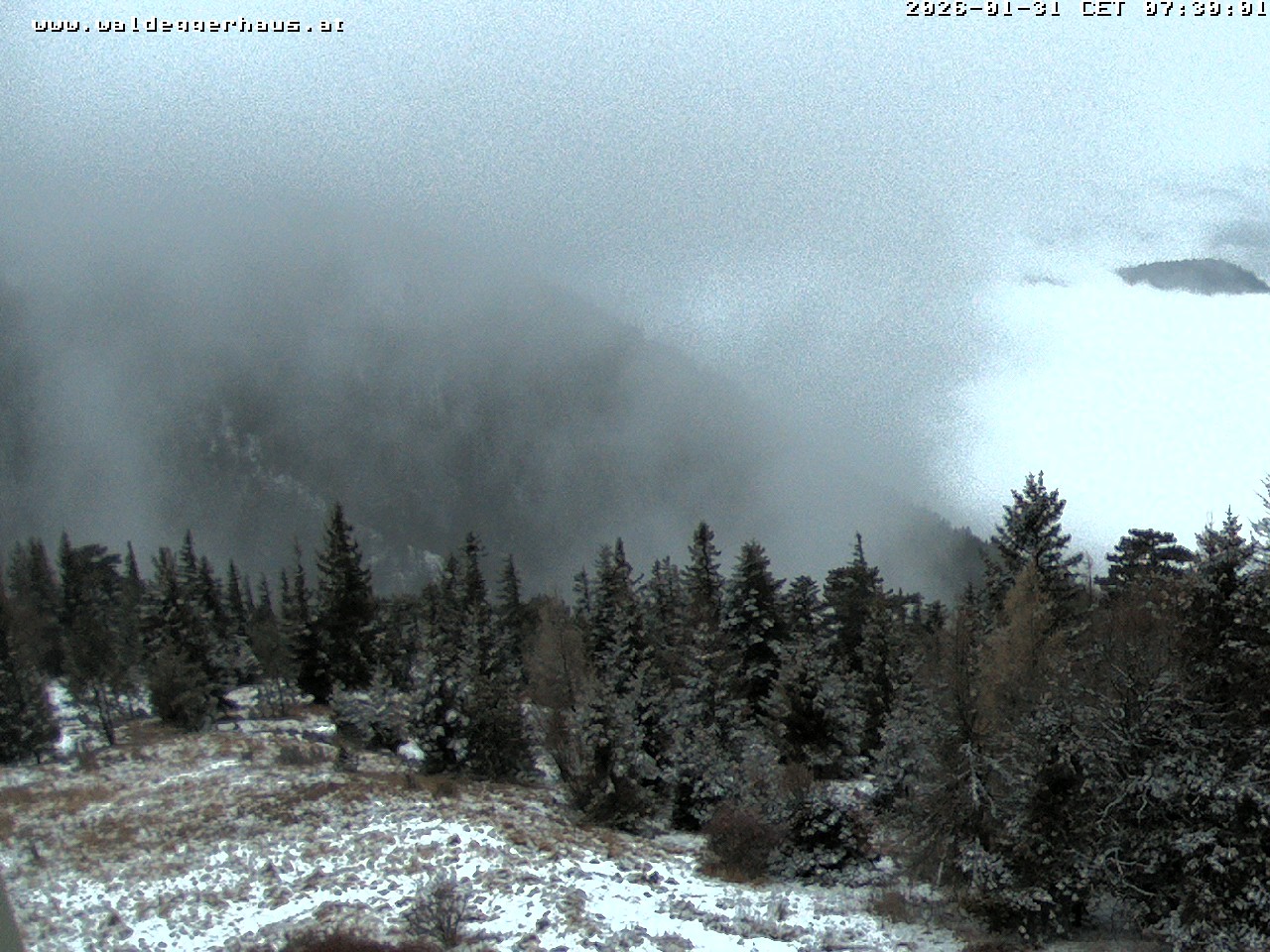 Archiv Foto Webcam Gasthof Waldeggerhaus