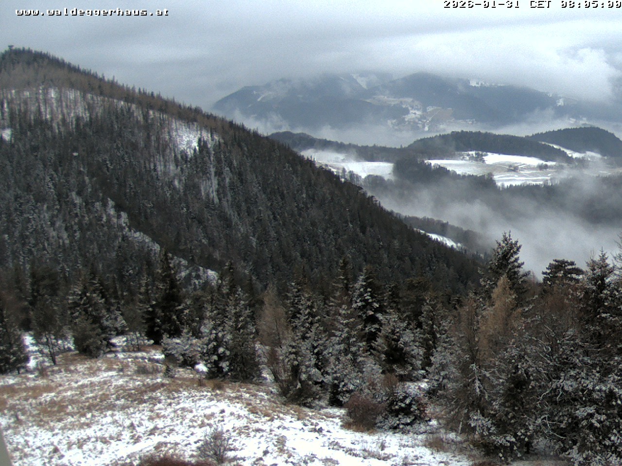Archiv Foto Webcam Gasthof Waldeggerhaus