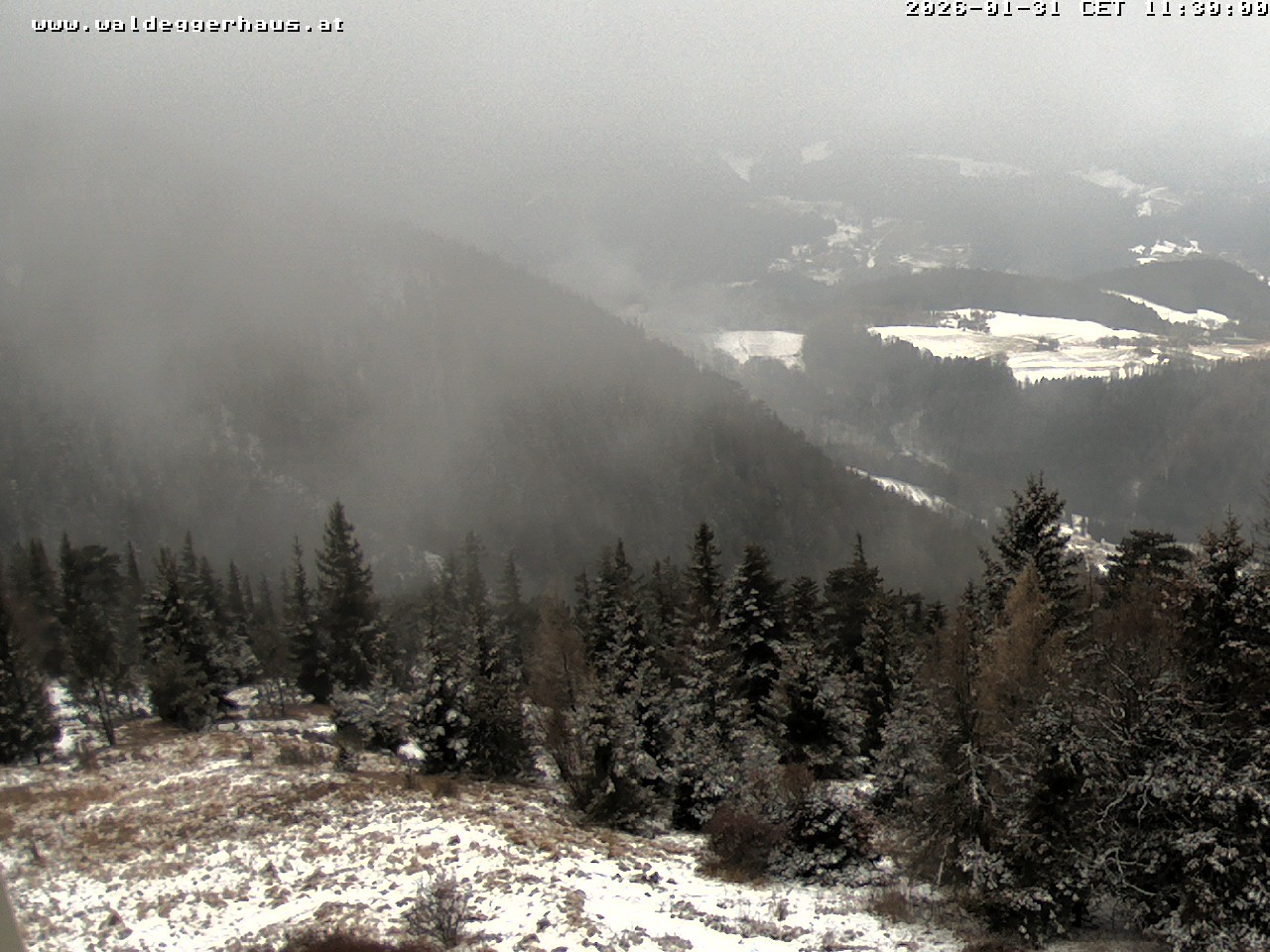 Archiv Foto Webcam Gasthof Waldeggerhaus