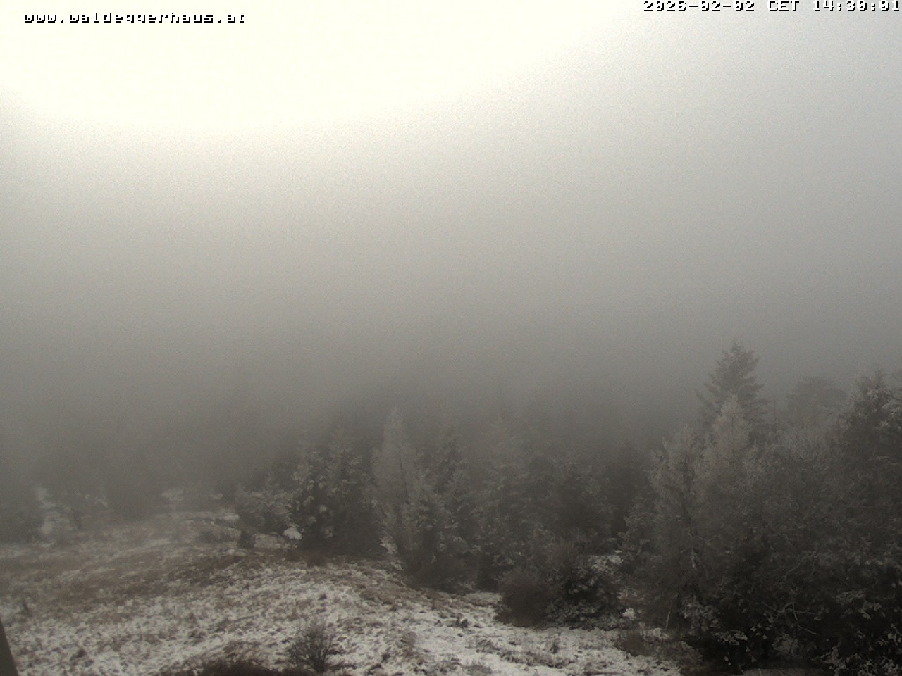 Archiv Foto Webcam Gasthof Waldeggerhaus