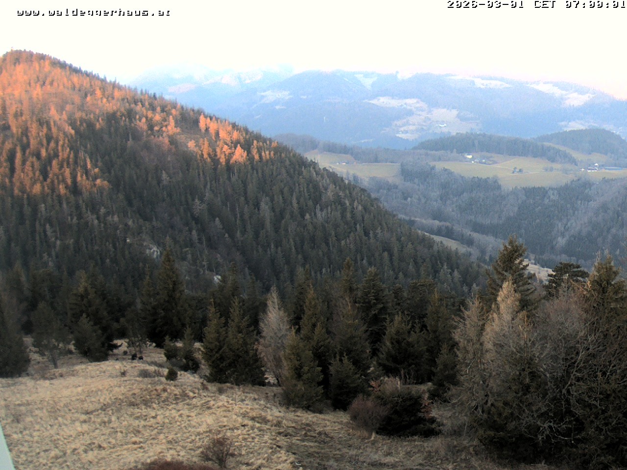 Archiv Foto Webcam Gasthof Waldeggerhaus