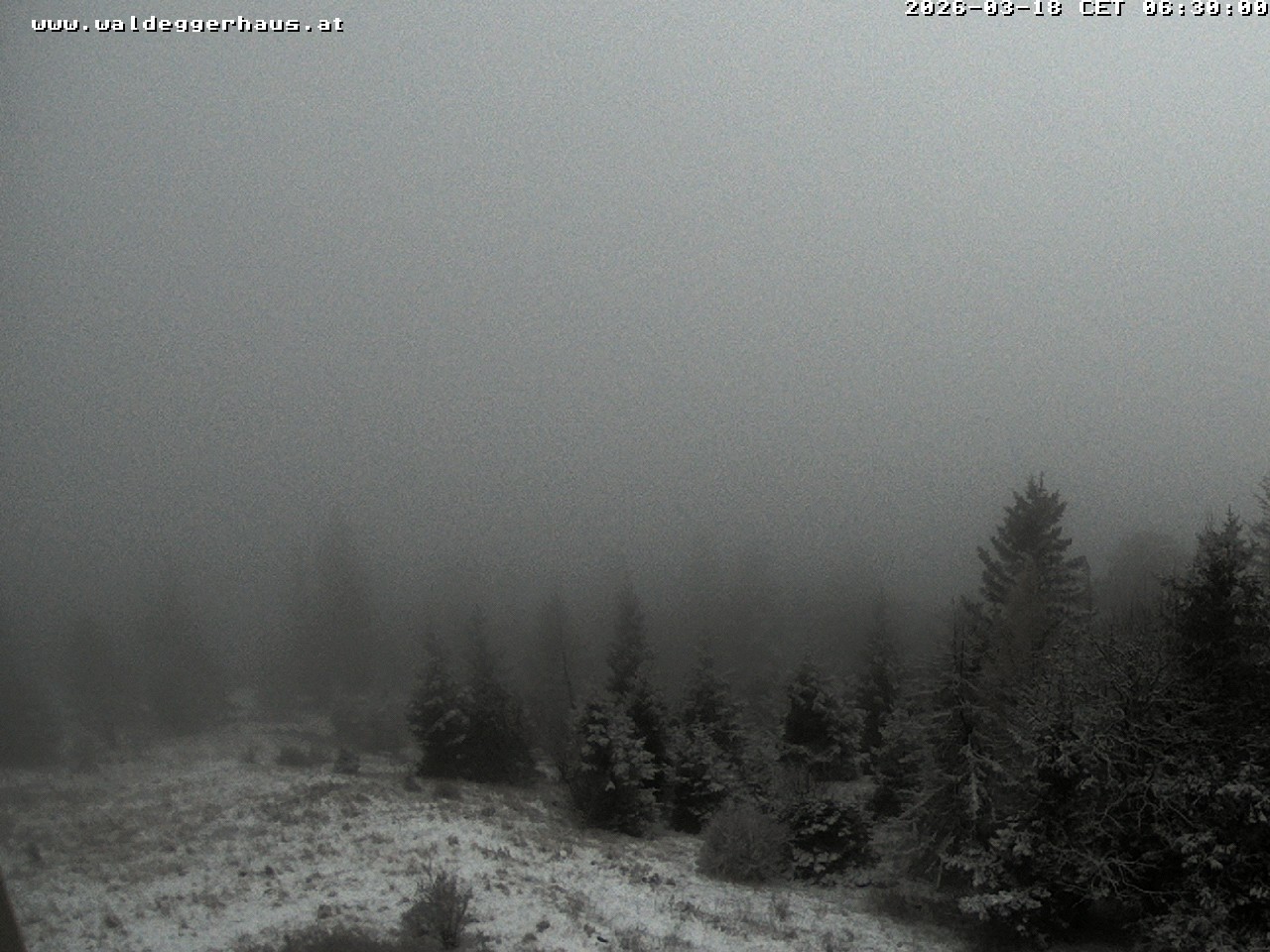 Archiv Foto Webcam Gasthof Waldeggerhaus