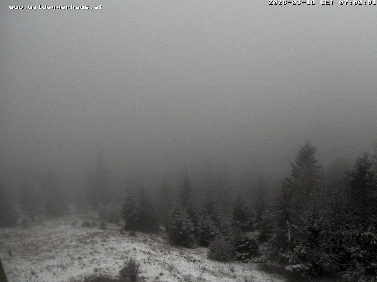 Archiv Foto Webcam Gasthof Waldeggerhaus