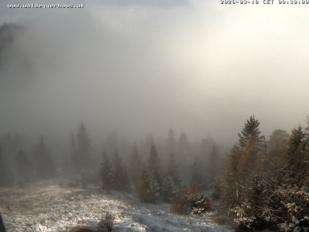 Archiv Foto Webcam Gasthof Waldeggerhaus