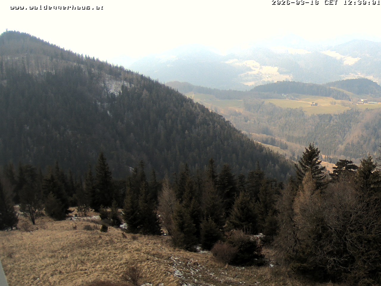 Archiv Foto Webcam Gasthof Waldeggerhaus