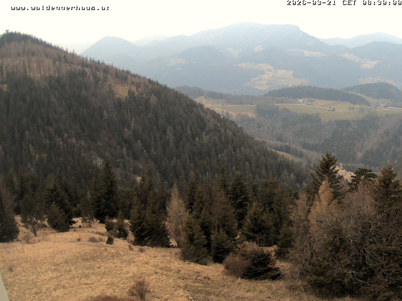 Archiv Foto Webcam Gasthof Waldeggerhaus