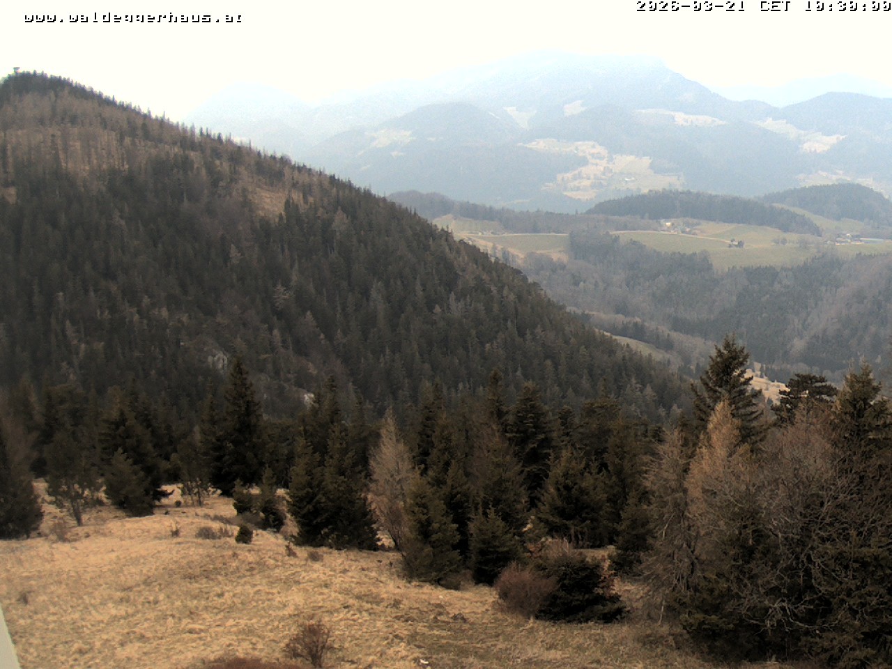 Archiv Foto Webcam Gasthof Waldeggerhaus