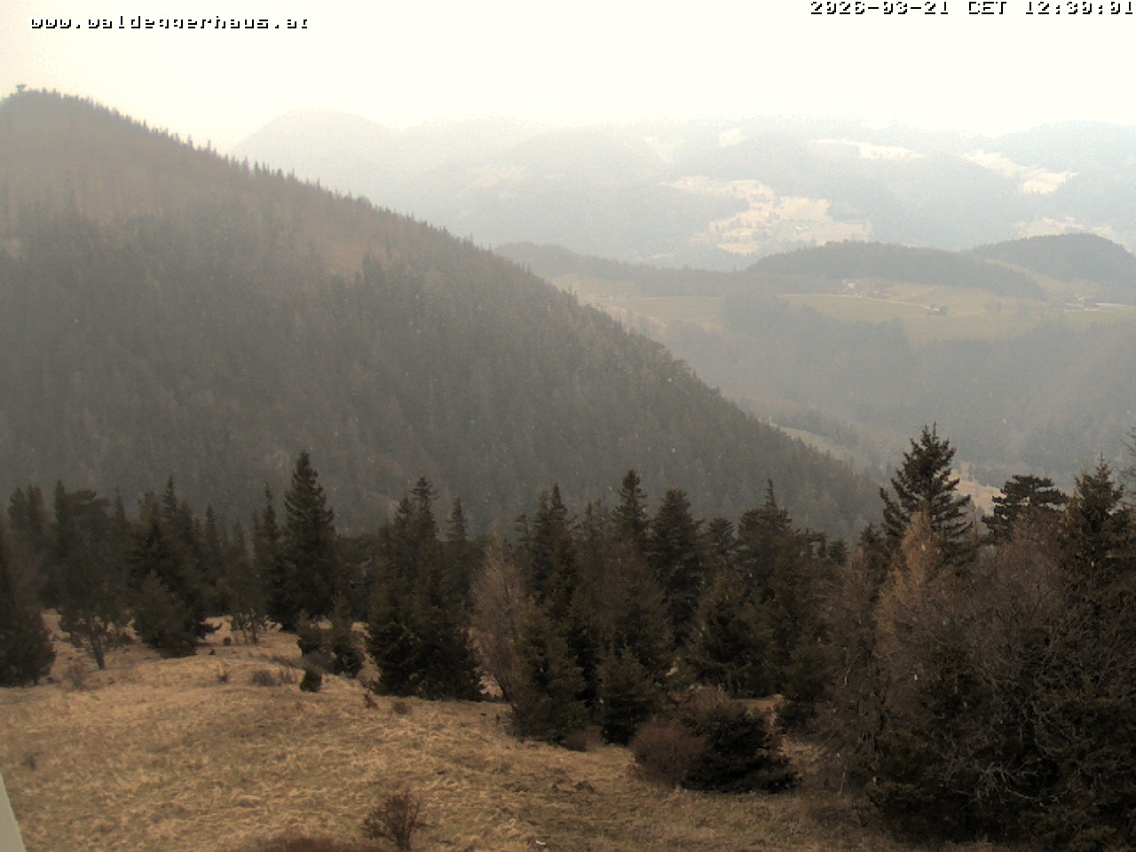 Archiv Foto Webcam Gasthof Waldeggerhaus