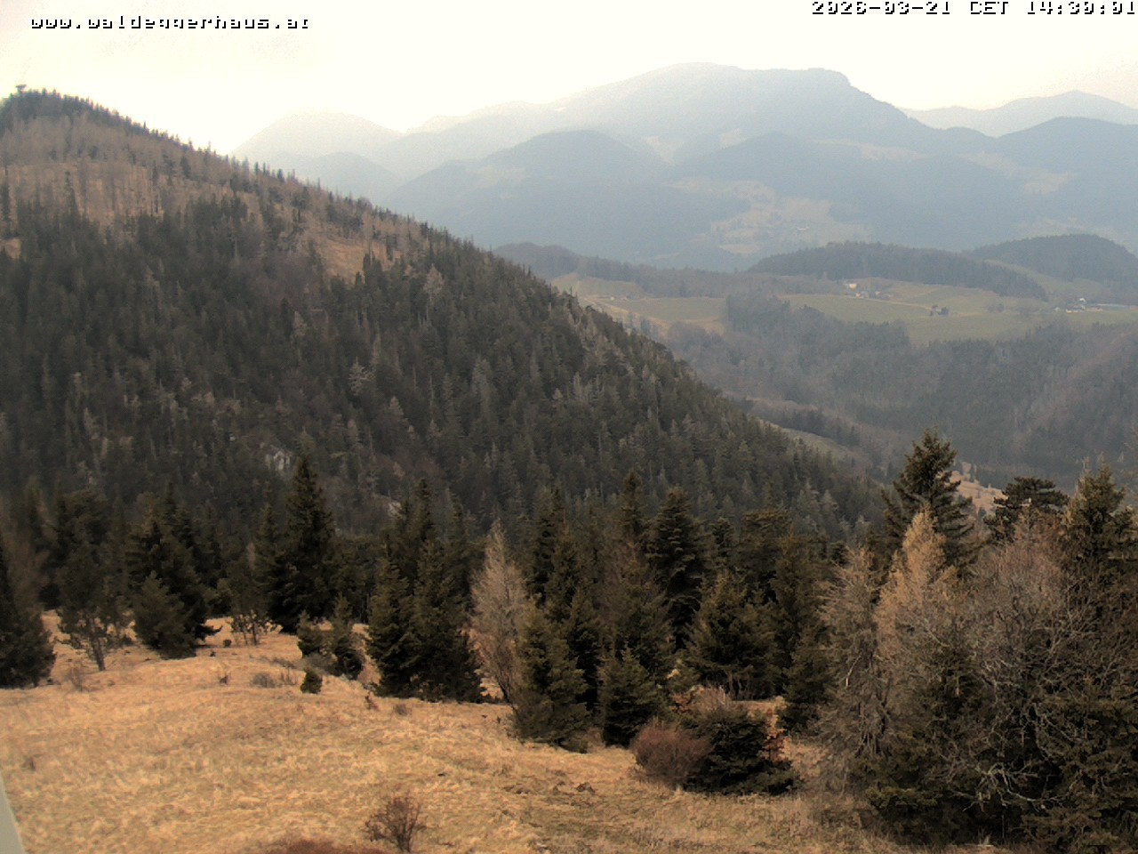 Archiv Foto Webcam Gasthof Waldeggerhaus