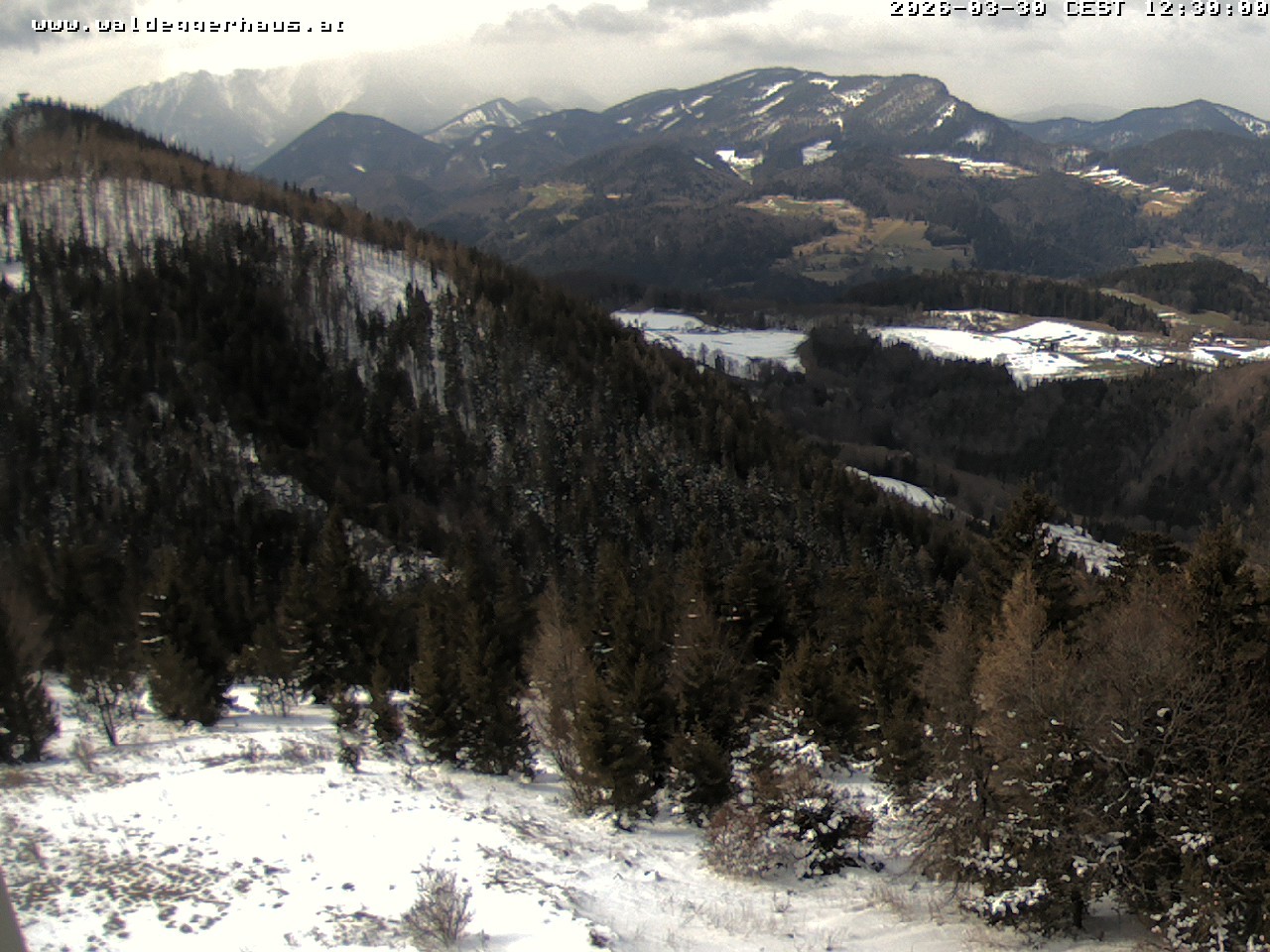 Archiv Foto Webcam Gasthof Waldeggerhaus