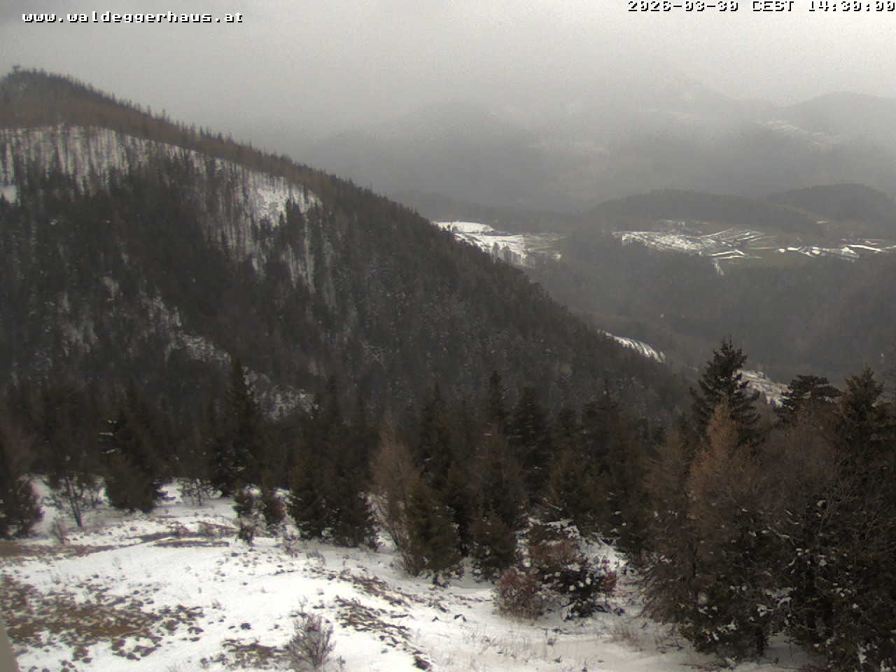 Archiv Foto Webcam Gasthof Waldeggerhaus