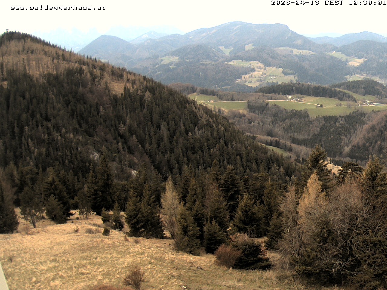 Archiv Foto Webcam Gasthof Waldeggerhaus