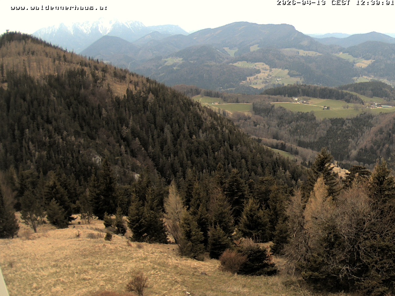 Archiv Foto Webcam Gasthof Waldeggerhaus
