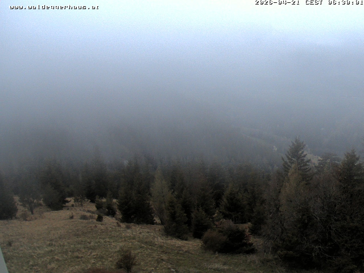 Archiv Foto Webcam Gasthof Waldeggerhaus