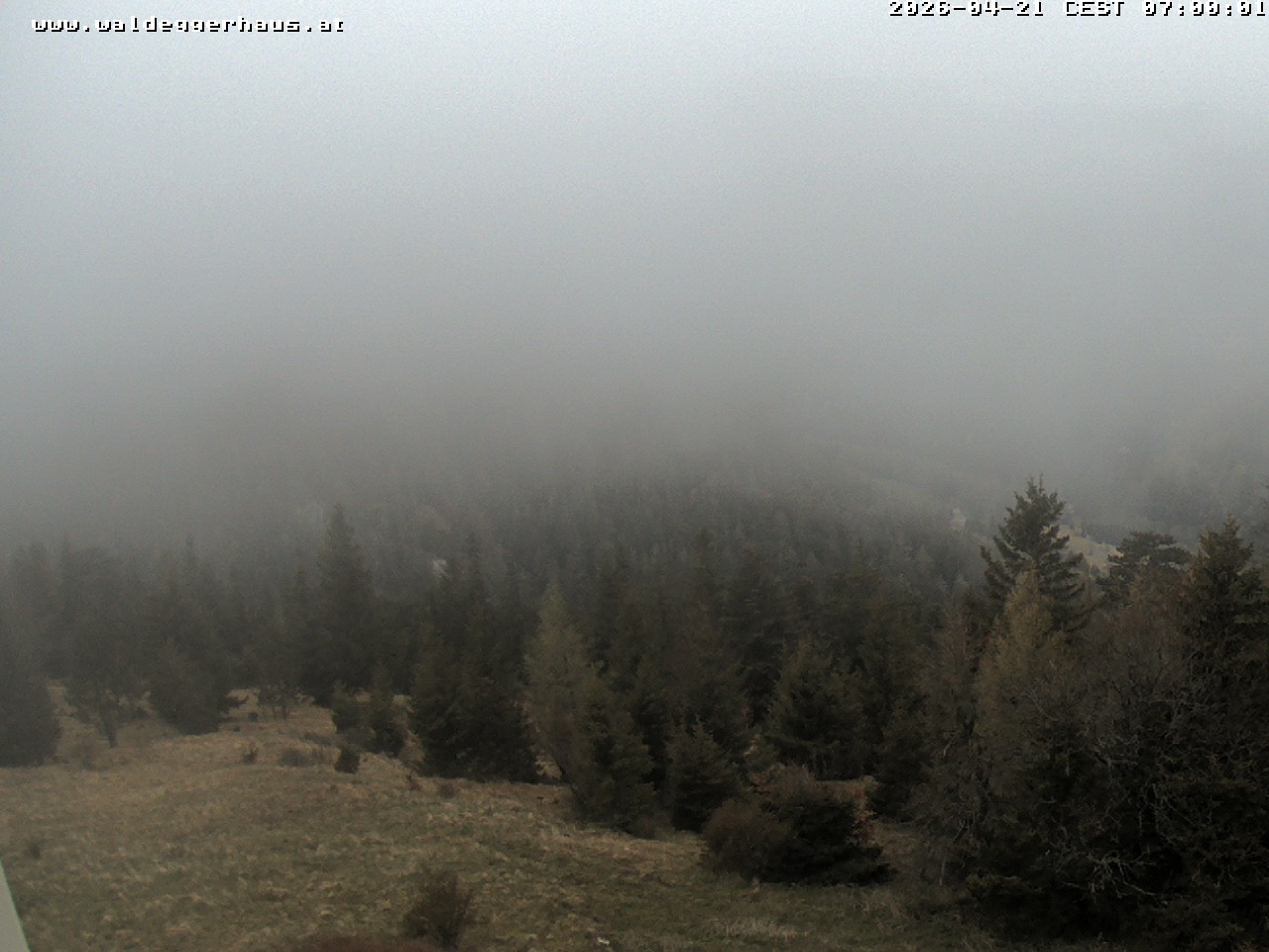 Archiv Foto Webcam Gasthof Waldeggerhaus