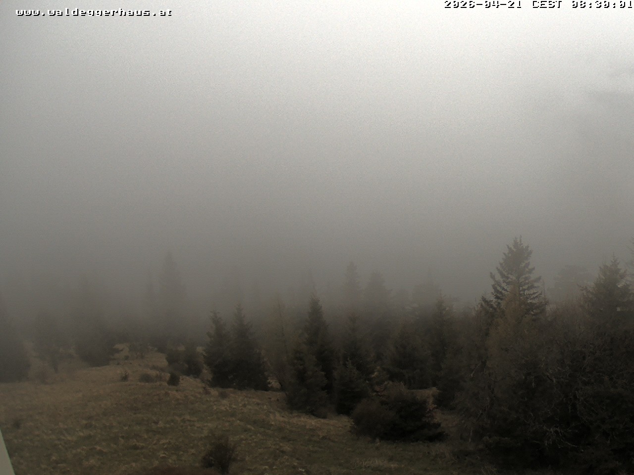 Archiv Foto Webcam Gasthof Waldeggerhaus