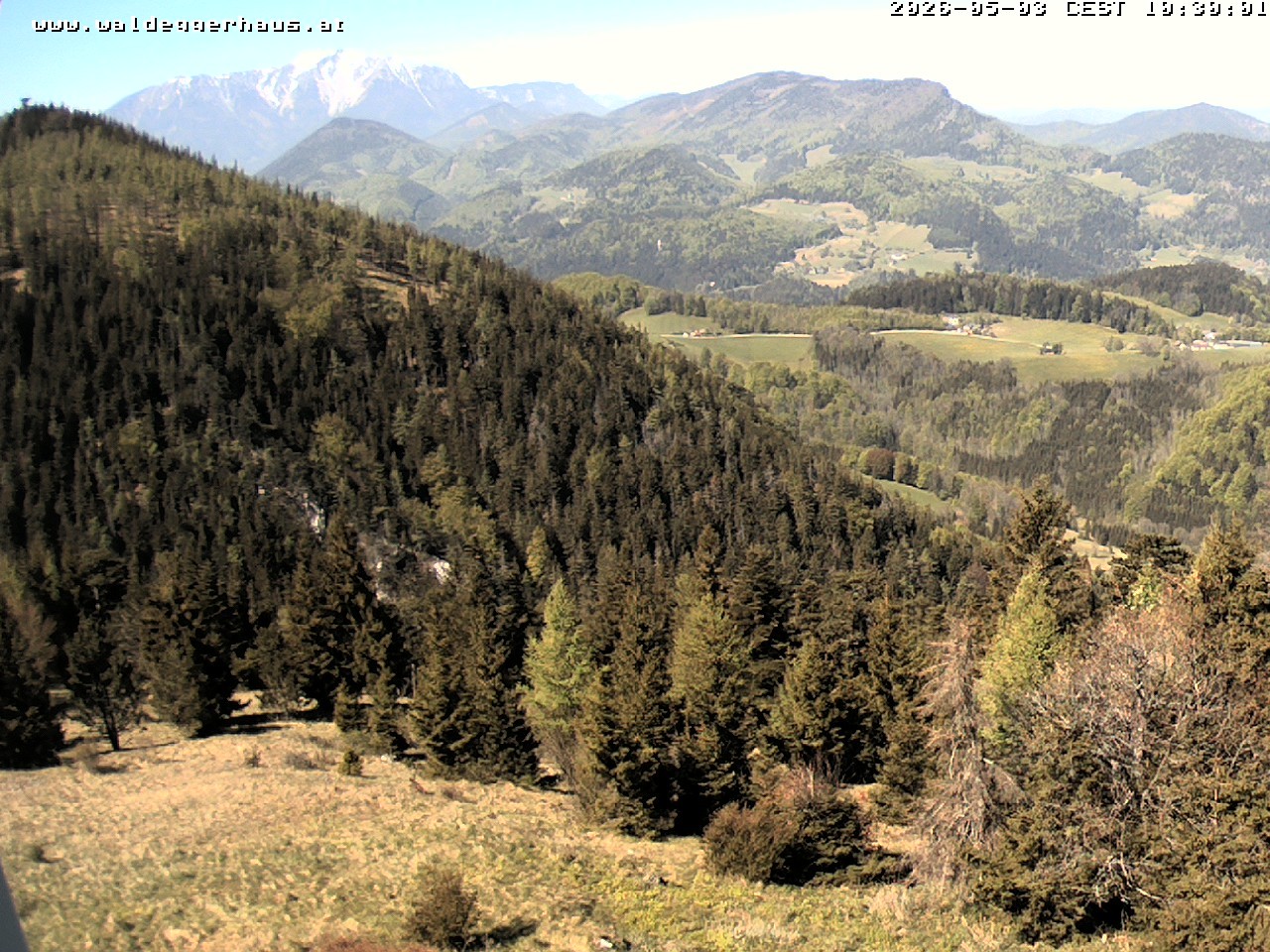 Archiv Foto Webcam Gasthof Waldeggerhaus